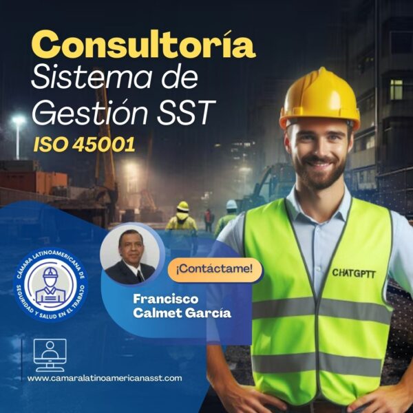 Francisco Calmet García-Consultoría del Sistema de Gestión de SST