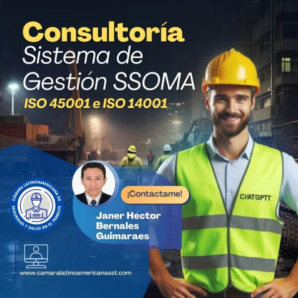 Janer Héctor Bernales Guimaraes-Consultoría en Gestión SSOMA