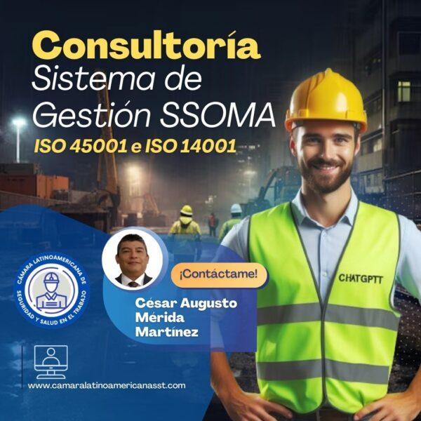 César Augusto Mérida Martínez-Consultoría en Gestión de Riesgos SSOMA