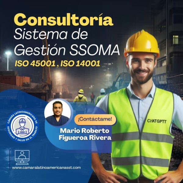 Mario Roberto Figueroa Rivera-Consultoría en gestión del sistema SSOMA