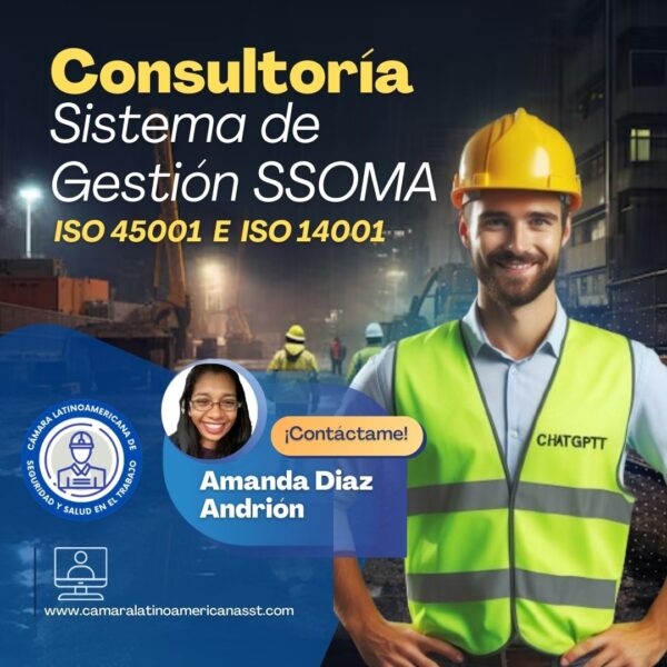 Amanda Diaz Andrión-Consultoría del sistema de gestión SSOMA