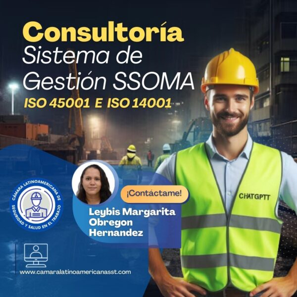 Leybis Margarita Obregon Hernandez-Consultoría del sistema de gestión SSOMA